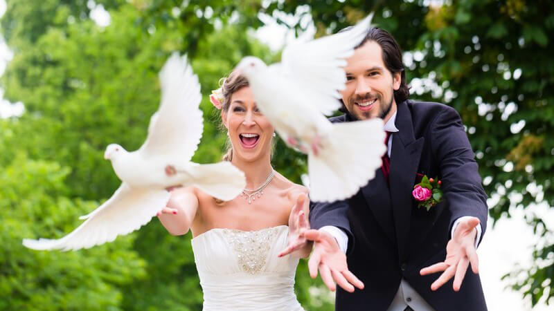 Hochzeitspaar im Grünen lässt zwei weiße Tauben steigen