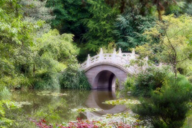 Teiche aus dem Mittelalter - Landschaft und Fischspezialitäten locken in die Oberpfalz