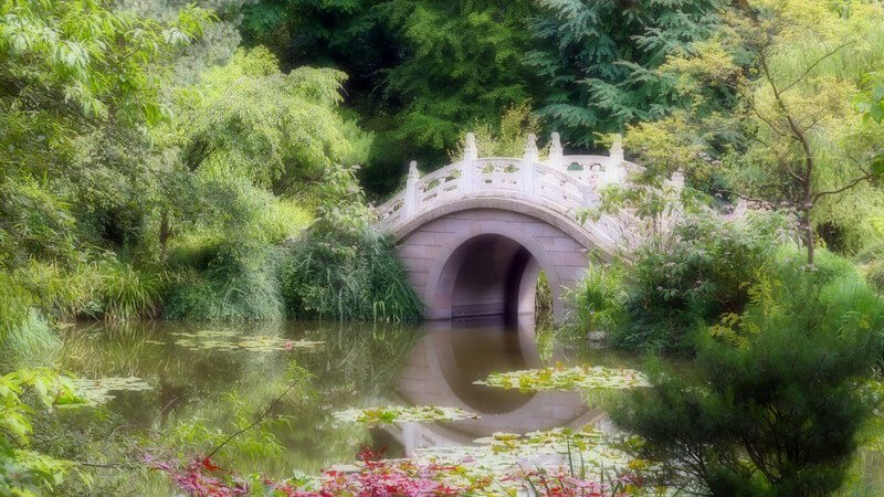 Steinbrücke mit weißem Holzgeländer an großem Teich mit vielen Pflanzen