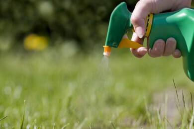 Gefahr durch hormonell wirksame Pestizide im Hausgarten