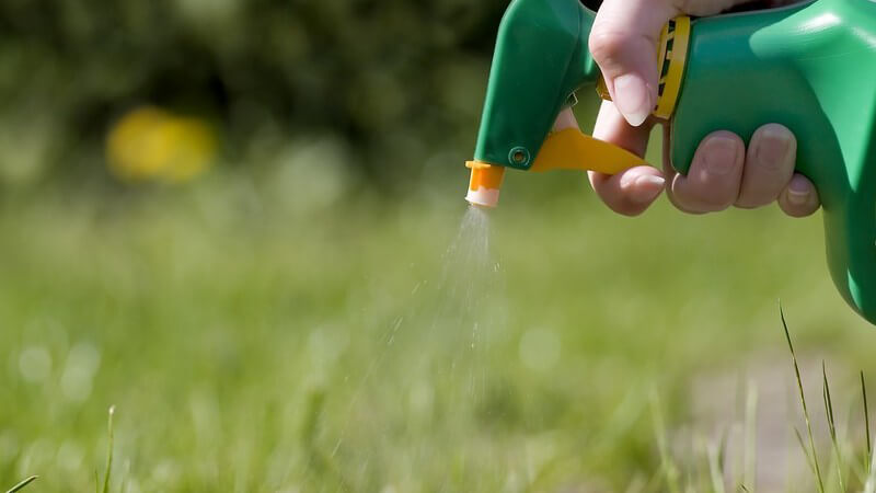 Rasen wird aus Sprühflasche bewässert