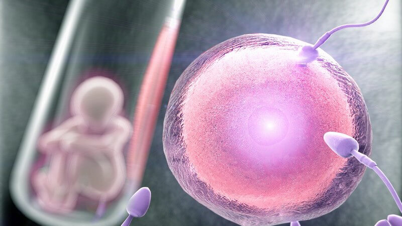 Grafik einer Eizelle mit ankommenden Spermien, im Hintergrund ein Reagenzglas, in dem ein Embryo sitzt