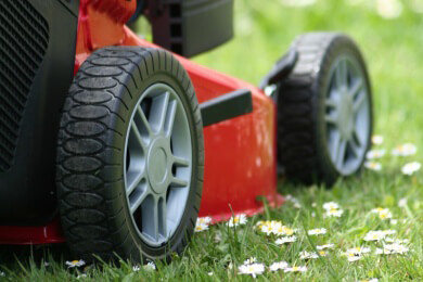 Der Frühling ist da - Was im April für den Garten getan werden sollte