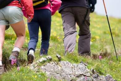 Das Gesundheitswandern erfreut sich immer größerer Beliebtheit