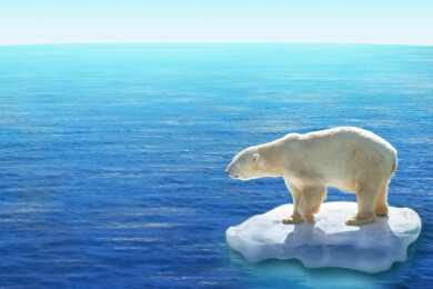 Gletscherschmelze in Grönland lässt Meeresspiegel bis zum Jahr 2100 um 18 Zentimeter steigen