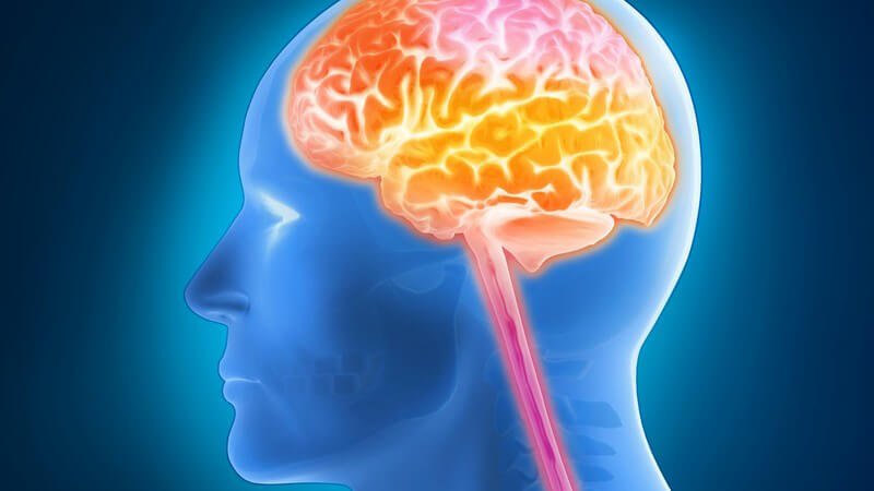 3-D-Grafik eines menschlichen Kopfes mit gelb-rot leuchtend hervorgehobenem Gehirn/Gehirnaktivität
