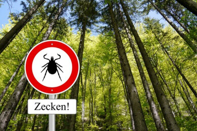So können sie sich vor Zecken schützen