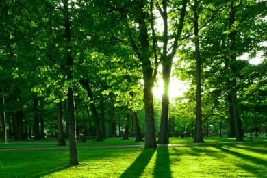 Entspannen im Grünen - in den schönsten Parks Deutschlands