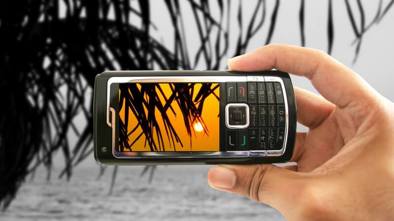 Foto von Palme und Sonnenuntergang wird mit Handy gemacht, schwarz-weißer Hintergrund