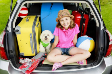 Mit dem Hund auf Reisen - In südlichen Ländern lauern Gefahren durch Mücken, Zecken und Hitze