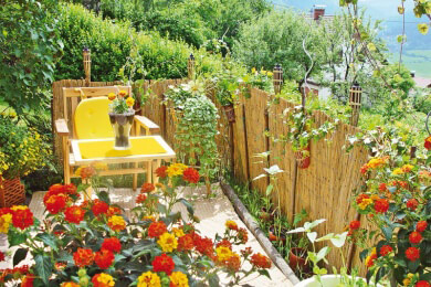 Obst, Gemüse, Kräuter und Blumen - Was alles auf einem Balkon blühen und gedeihen kann