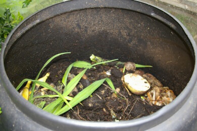 Aus Biomüll soll Functional Food werden