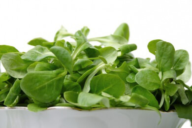 Abgepackte Salate oftmals mit Keimen belastet - Stiftung Warentets vergibt sogar ein "mangelhaft"