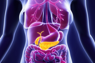 Wie entsteht Gallengangskrebs? Deutsche Forscher entschlüsseln eine falsche Signalkette