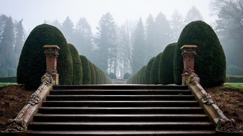 Treppe und Allee auf einem Friedhof bei Nebel