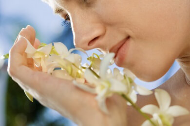 Orchideen sind die perfekten Blender in der Botanik