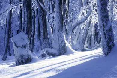 Neue Touristen-Attraktion am Dachstein-Gletscher eröffnet - Nur etwas für schwindelfreie Besucher