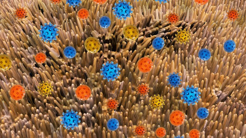 3-D-Grafik der Darmflora mit blauen, gelben und roten Darmbakterien auf den Darmzotten