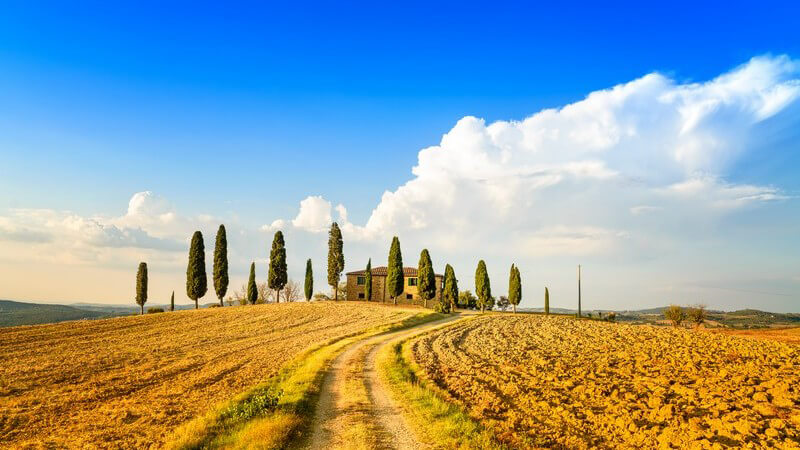 Siena: Ackerland in der Toskana, im Hintergrund eine Farm und Zypressen