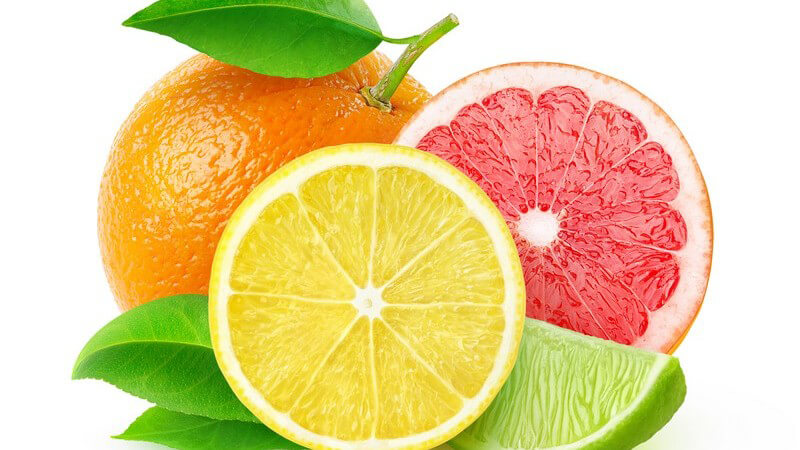 Zitrusfrüchte vor weißem Hintergrund - Orange, Zitrone, Limette und Grapefruit