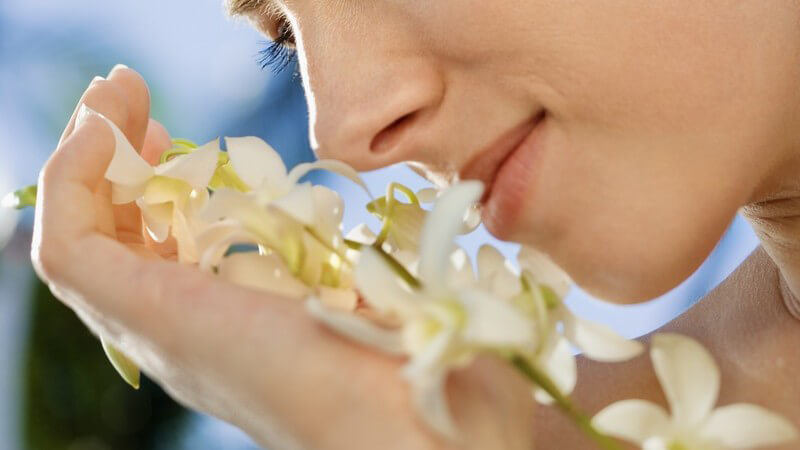 Frau hält Orchidee ans Gesicht und riecht daran