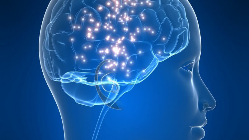 Grafik menschlicher Kopf mit Gehirn, Migräne