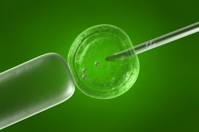 Aus eigenen Hautzellen sollen neue Zellen entstehen