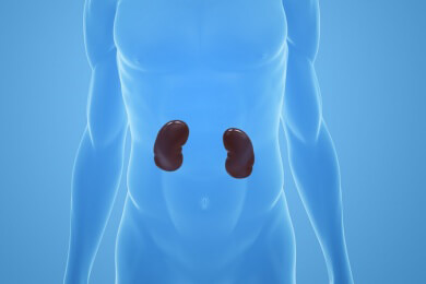 Ein besonders heftiges Leiden: Die akute Nierenkolik