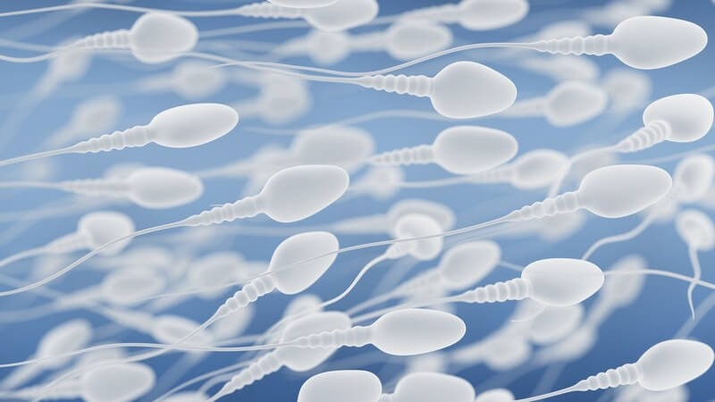Grafik mit einer Vielzahl schwimmender Spermien vor blauem Hintergrund
