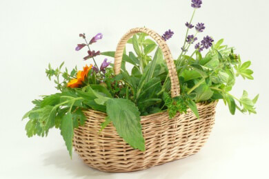 Heublumen, Kräuter und Co - Warum sie mehr sind, als nur eine duftende Note im Alltag