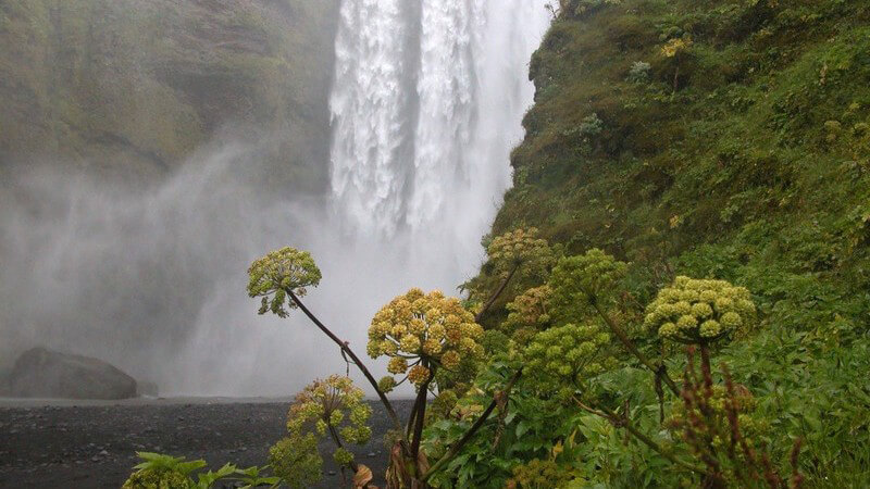Skógafoss, Waldwasserfall im Süden Islands