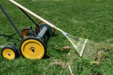 Endlich wieder einen schönen Rasen - so vertreibt man Maulwürfe