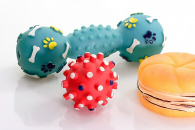 Frau aus Bonn kaufte Hundewelpen und warf ihn anschließend von der Würzburger Friedensbrücke