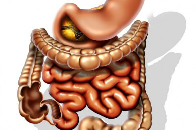 Neue Therapie gegen Candida Albicans-Infektion: Tropische Pflanze erfolgreich getestet