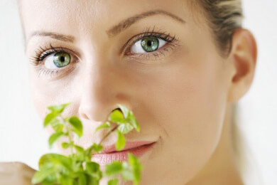 Wenn Gerüche sprachlos machen: 10 grundlegende Duftrichtungen festgelegt