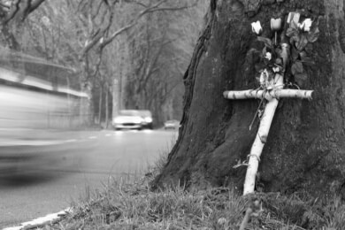 Die etwas andere Art des Begräbnisses - Bestattung auf dem Waldfriedhof