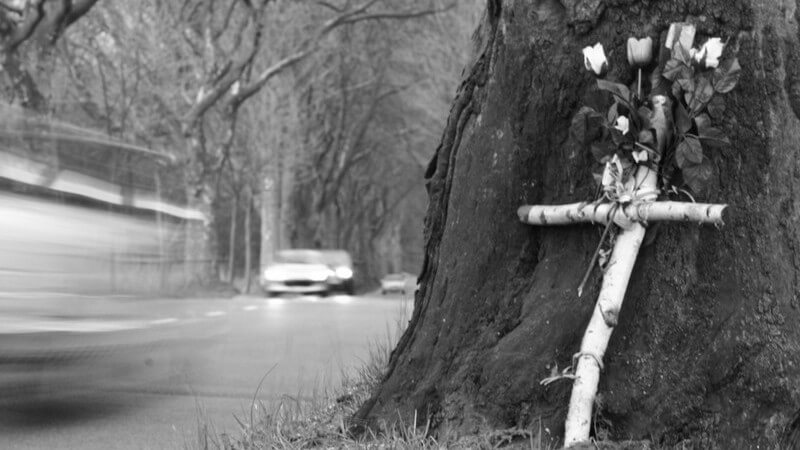 Schwarz-weiß Bild, Holzkreuz mit Rosen lehnt an Baum neben Schnellstraße