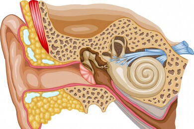 Geräusche im Ohr - Tinnitus durch zu viel Ohrenschmalz?
