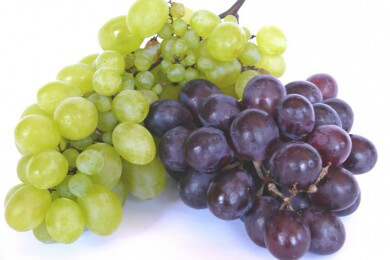 Trauben - die Muntermacher für den Herbst