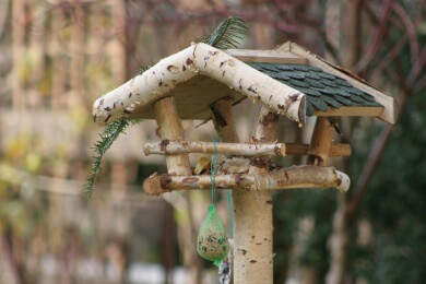 Viele Zugvögel werden in Ägypten in Netzen gefangen und landen anschließend auf dem Grill