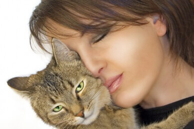 Frauen versuchen lieber ein Seelentief mit ihrer Katze als mit dem Partner zu überwinden