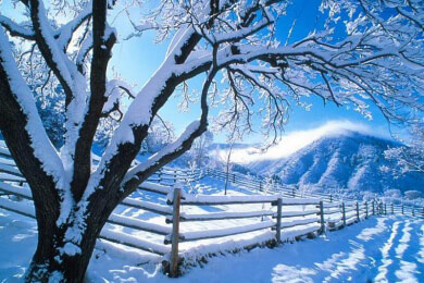 Jeder Fünfte hat den Winterblues: Frauen häufiger betroffen als Männer