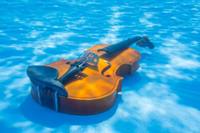 Ist das Holz das Geheimnis der Stradivari-Geigen?