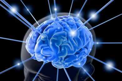 In Lausanne beginnt "Human Brain Project" zur Erforschung des Gehirns