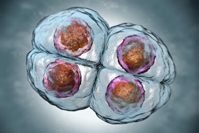 Umwelteinflüsse beeinflussen menschliches Erbgut