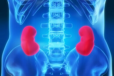 Gesunde Ernährung schützt die Nieren: Tipps für Diabetiker