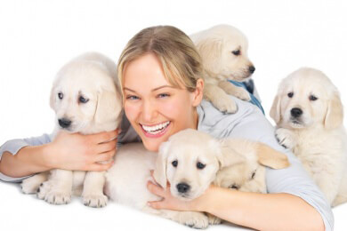 Wenn der Hund zum Partner wird: Immer mehr Haustiere werden vermenschlicht