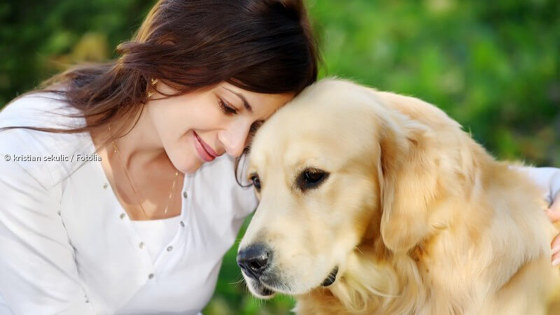 ᐅ Welche Faktoren tragen dazu bei, dass sich ein Hund bei seinem
