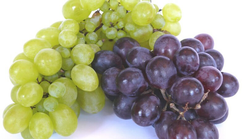 Grüne und rote Weintrauben