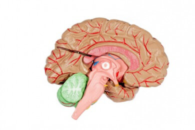 Antidepressiva nach einem Schlaganfall hilft der Psyche